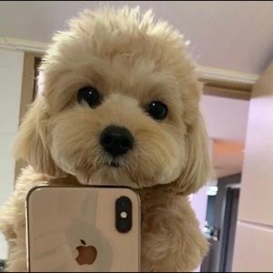 Meet your Posher, Connie